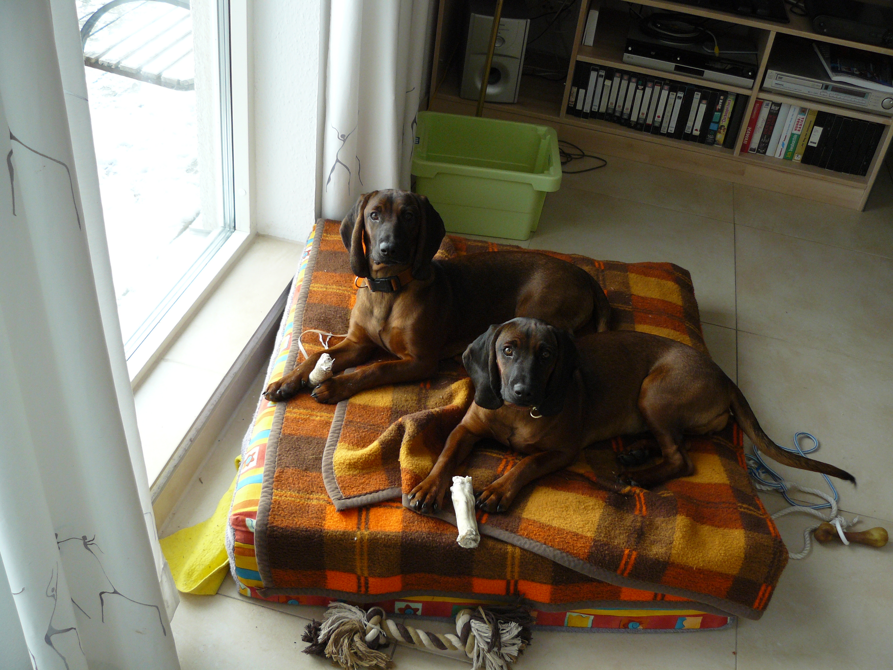 2013 Januar Grueneberg 008